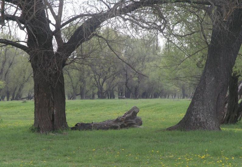 Кременівка з panoramio.com - Кременівка