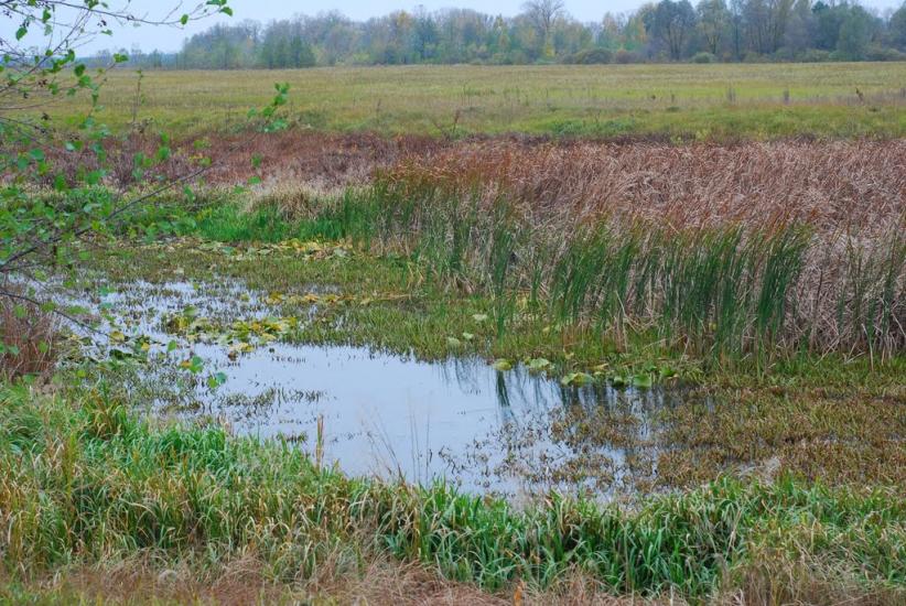 Остапівка з panoramio.com - Остапівка