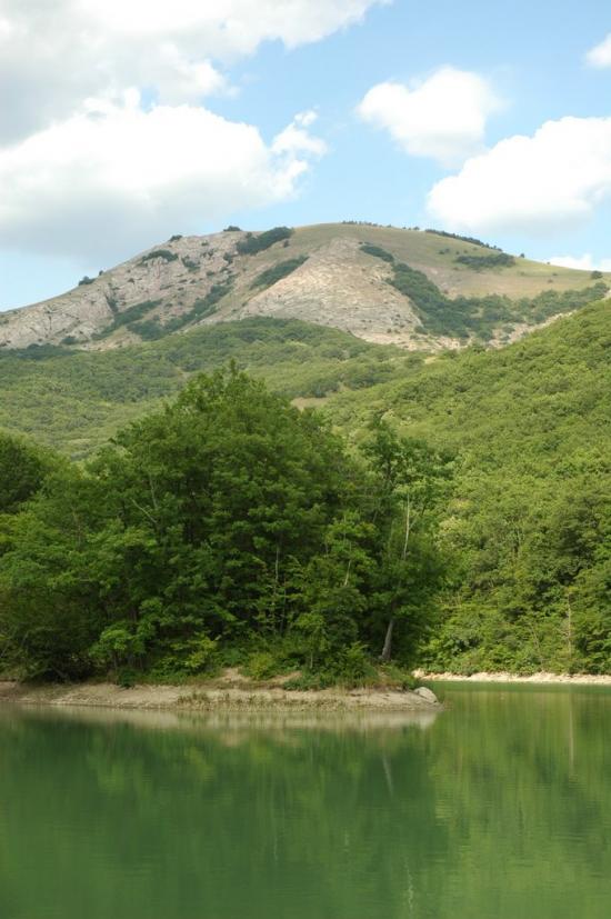 Ворон з panoramio.com - Ворон