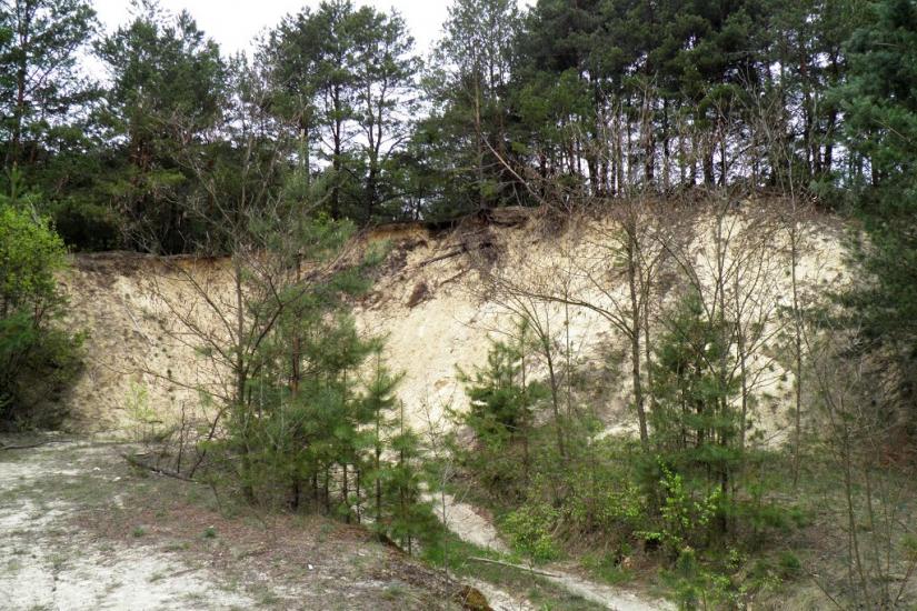 Адамчуки з panoramio.com - Адамчуки