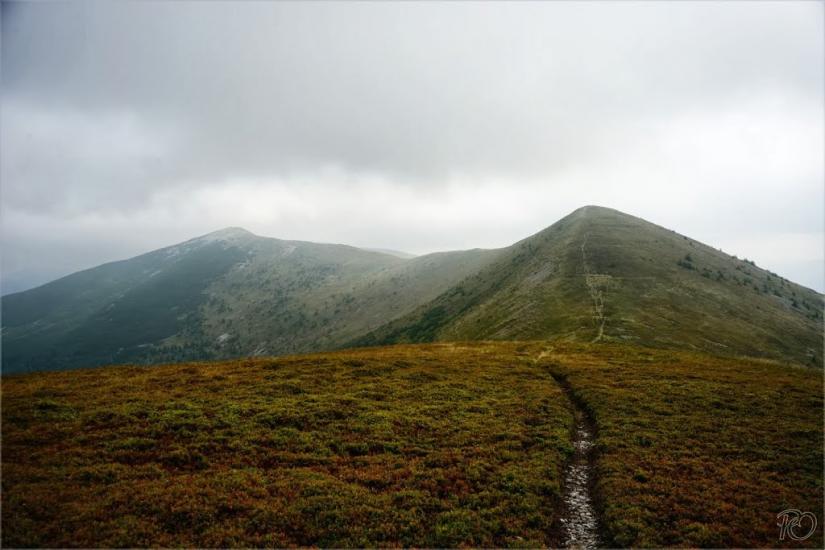 Заверхня Кичера з panoramio.com - Заверхня Кичера