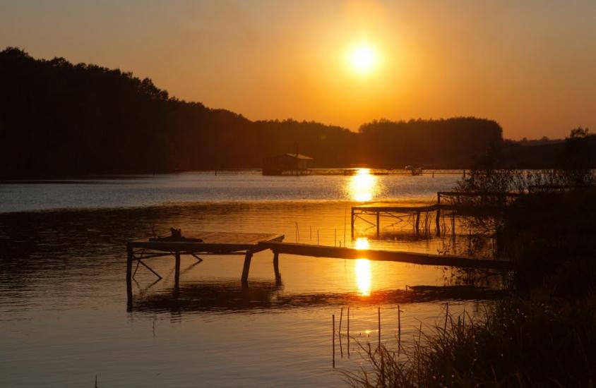 Польова з panoramio.com - Полевая