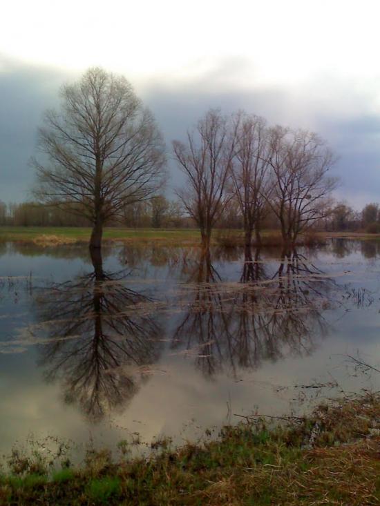 Жукин з panoramio.com - Zhukyn