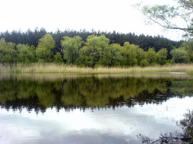Зубове з panoramio.com - Зубово