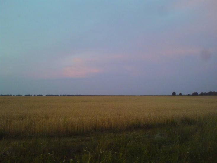 Войкове з panoramio.com - Войково