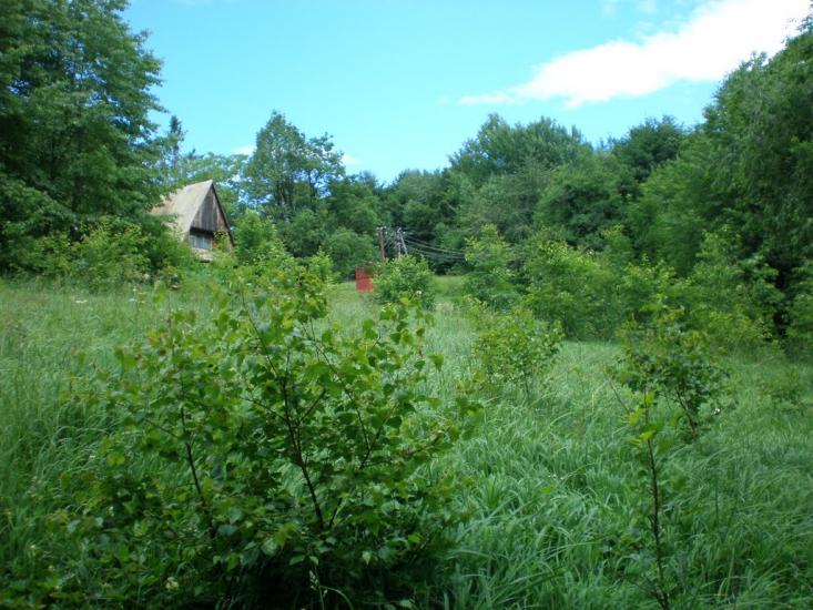 Ворочово з panoramio.com - Ворочево