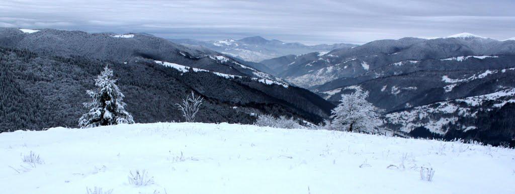 Кваси з panoramio.com - Квасы