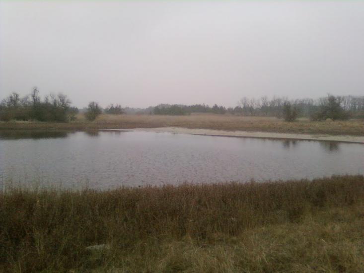 Підстепне з panoramio.com - Подстепное