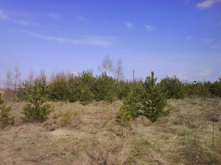 Радехів з panoramio.com - Радехов