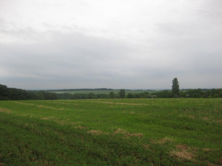 Садки з panoramio.com - Садки