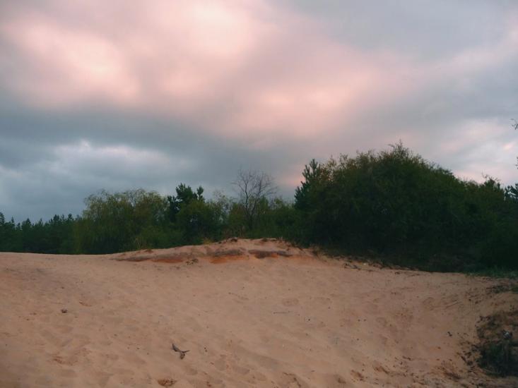 Ровжі з panoramio.com - Ровжи