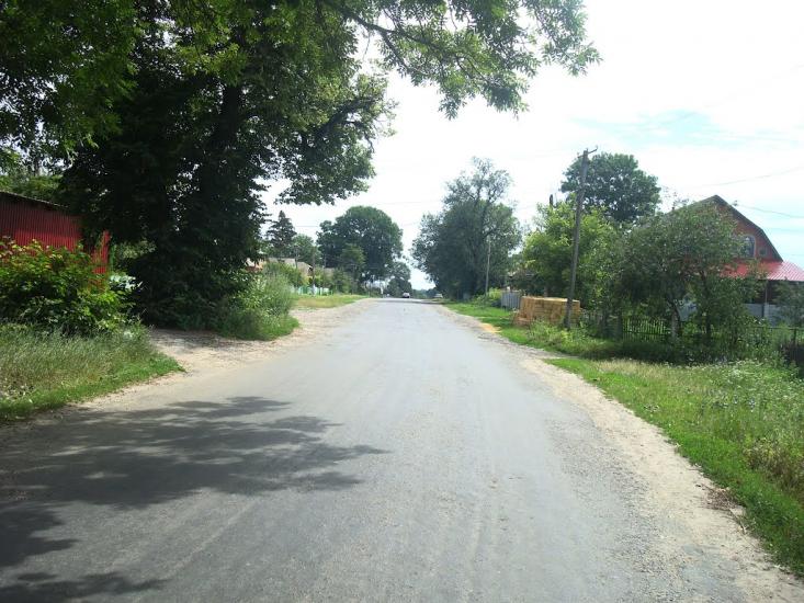 Ружичанка з panoramio.com - Ruzhychanka