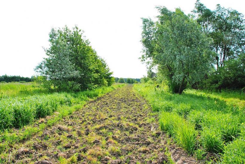 Адамчуки з panoramio.com - Адамчуки