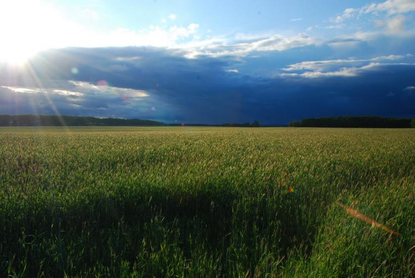 Вітрівка з panoramio.com - Вітрівка