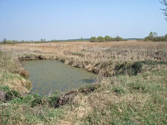 Нівецьке з panoramio.com - Нивецкое