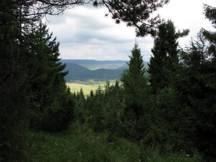 Розлуч з panoramio.com - Rozluch
