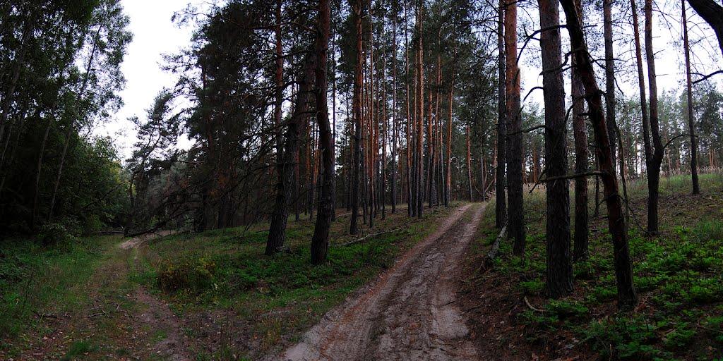 Левківка з panoramio.com - Левковка