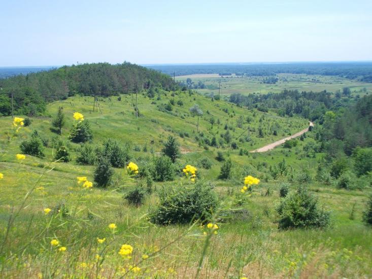 Великі Будища з panoramio.com - Великие Будища