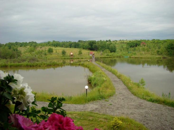 Андріївка з panoramio.com - Андреевка