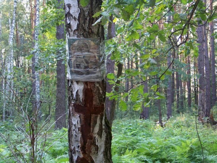 Кролевець з panoramio.com - Кролевець