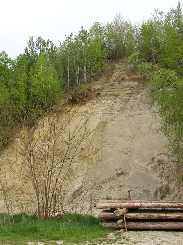 Червона Діброва - Червона Діброва