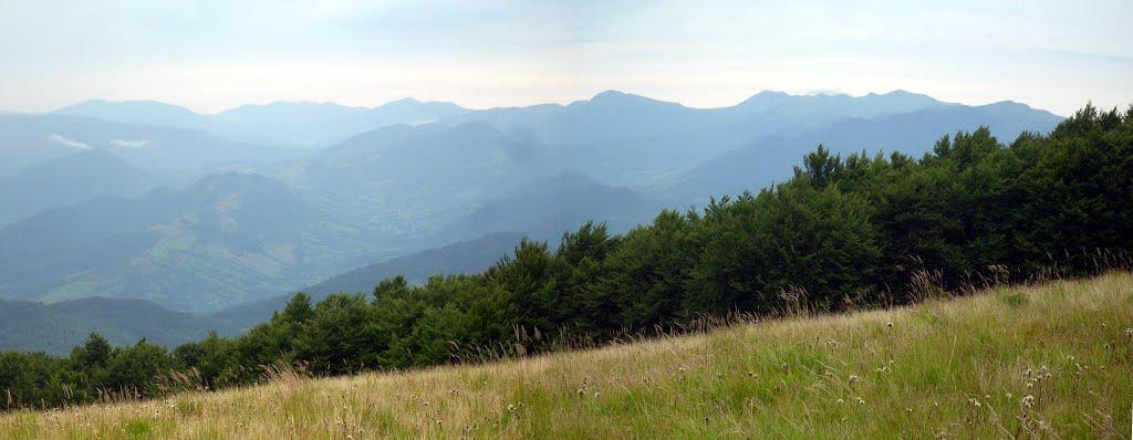 Гусний з panoramio.com - Гусний