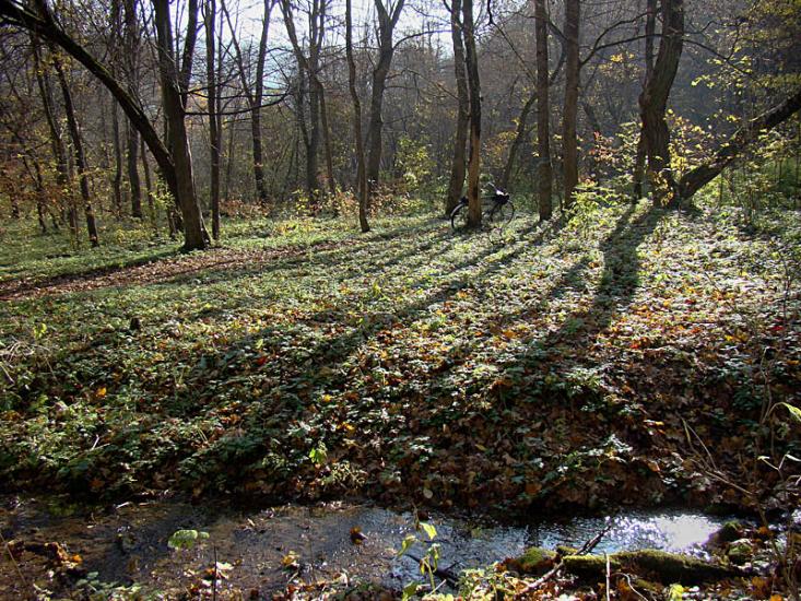 Кринцілів з panoramio.com - Кринцілів