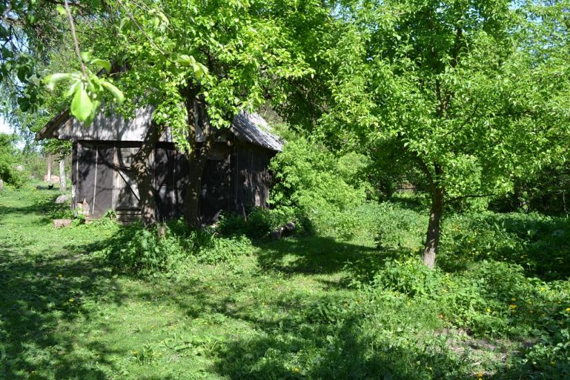 Меленці з panoramio.com - Меленцы