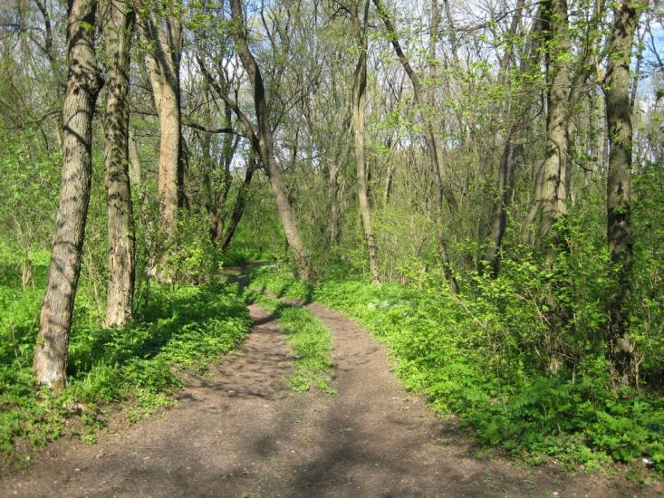 Дебальцеве з panoramio.com - The Debaltsevo