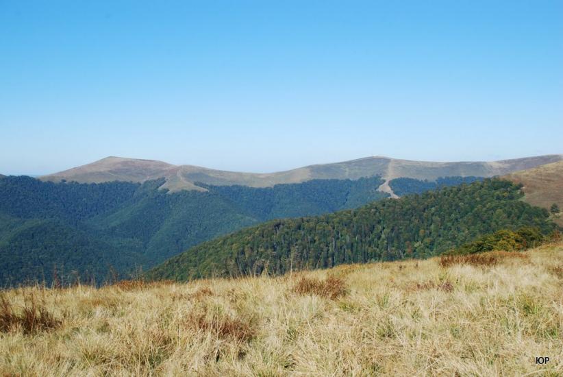 Вовчий з panoramio.com - Волчий