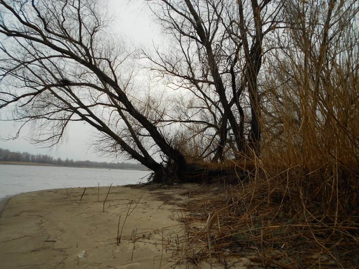Леськи з panoramio.com - Леськи