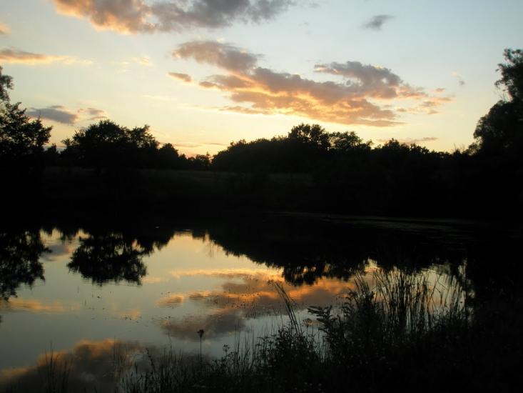 Андріївка з panoramio.com - Андріївка