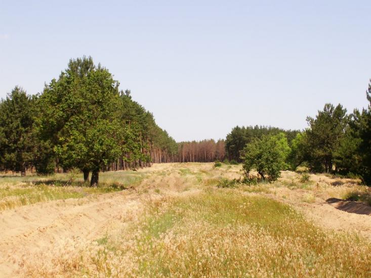 Баловне з panoramio.com - Баловное