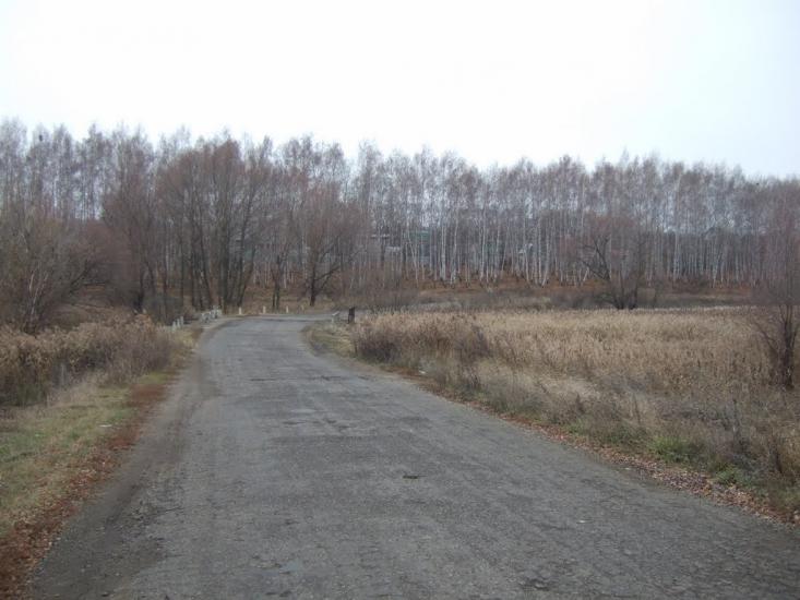 Бобрівка з panoramio.com - Бобровка