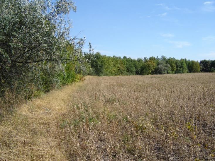 Кагарлик з panoramio.com - Кагарлык