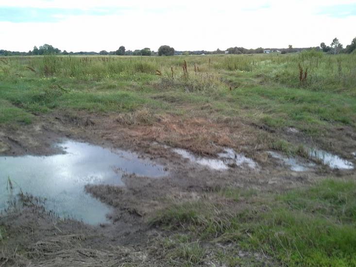 Скригалівка з panoramio.com - Скригалівка