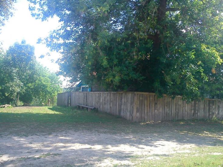 Киріївка з panoramio.com - Киріївка