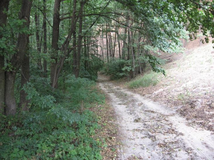 Нижній Бишкин з panoramio.com - Нижній Бишкин