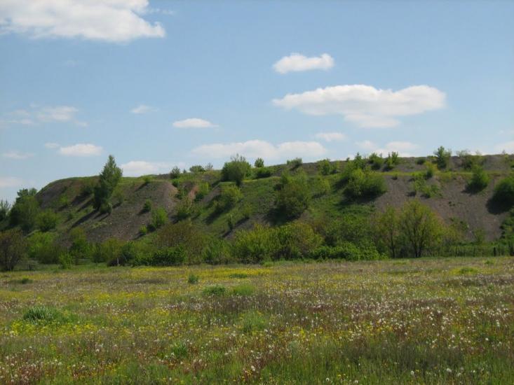 Кринична з panoramio.com - Кринична