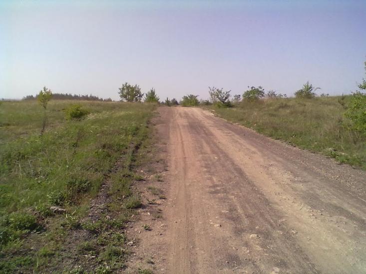 Пискунівка з panoramio.com - Пискуновка