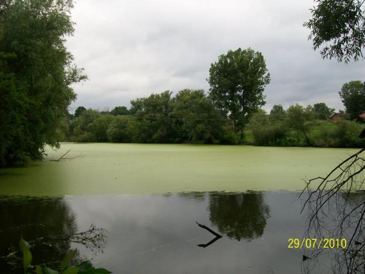 Ружичанка з panoramio.com - Ruzhychanka