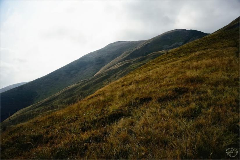 Береги з panoramio.com - Береги