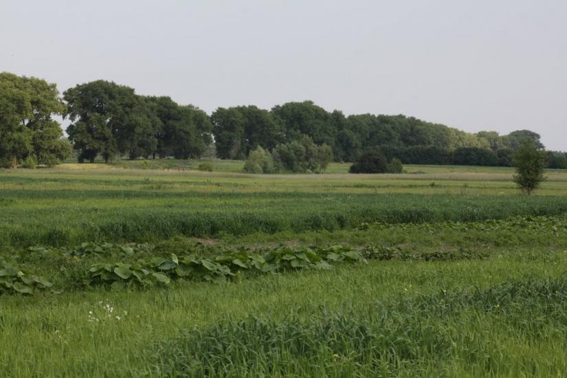 Хоцьки з panoramio.com - Хоцки