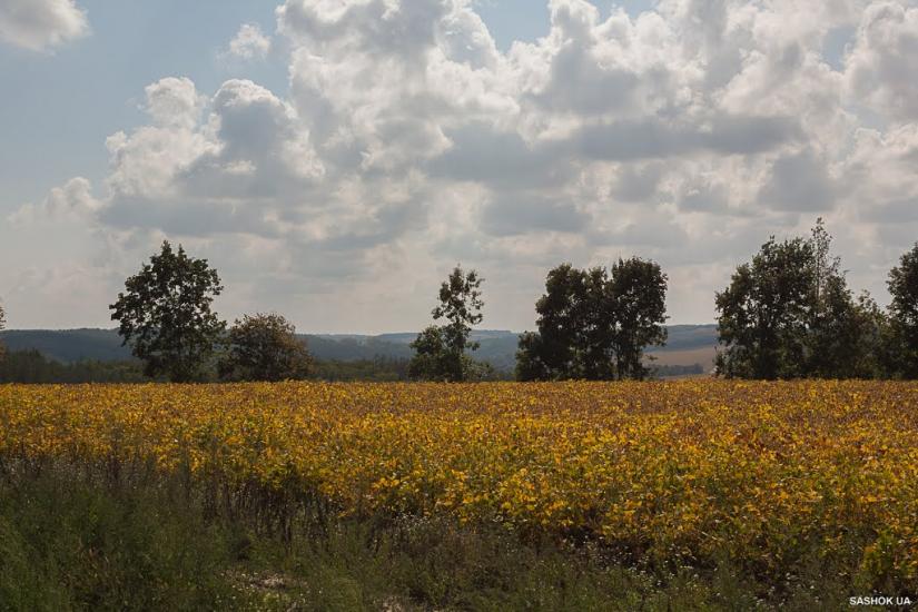 Ходорів з panoramio.com - Ходорів