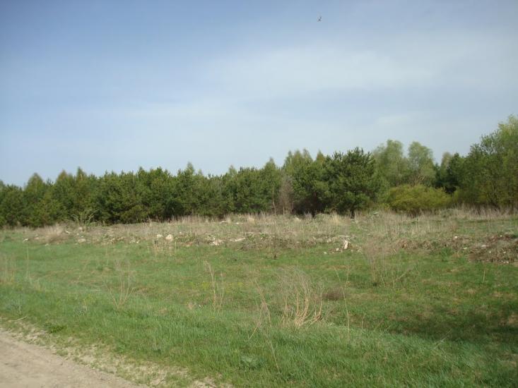 Вівчицьк з panoramio.com - Вівчицьк