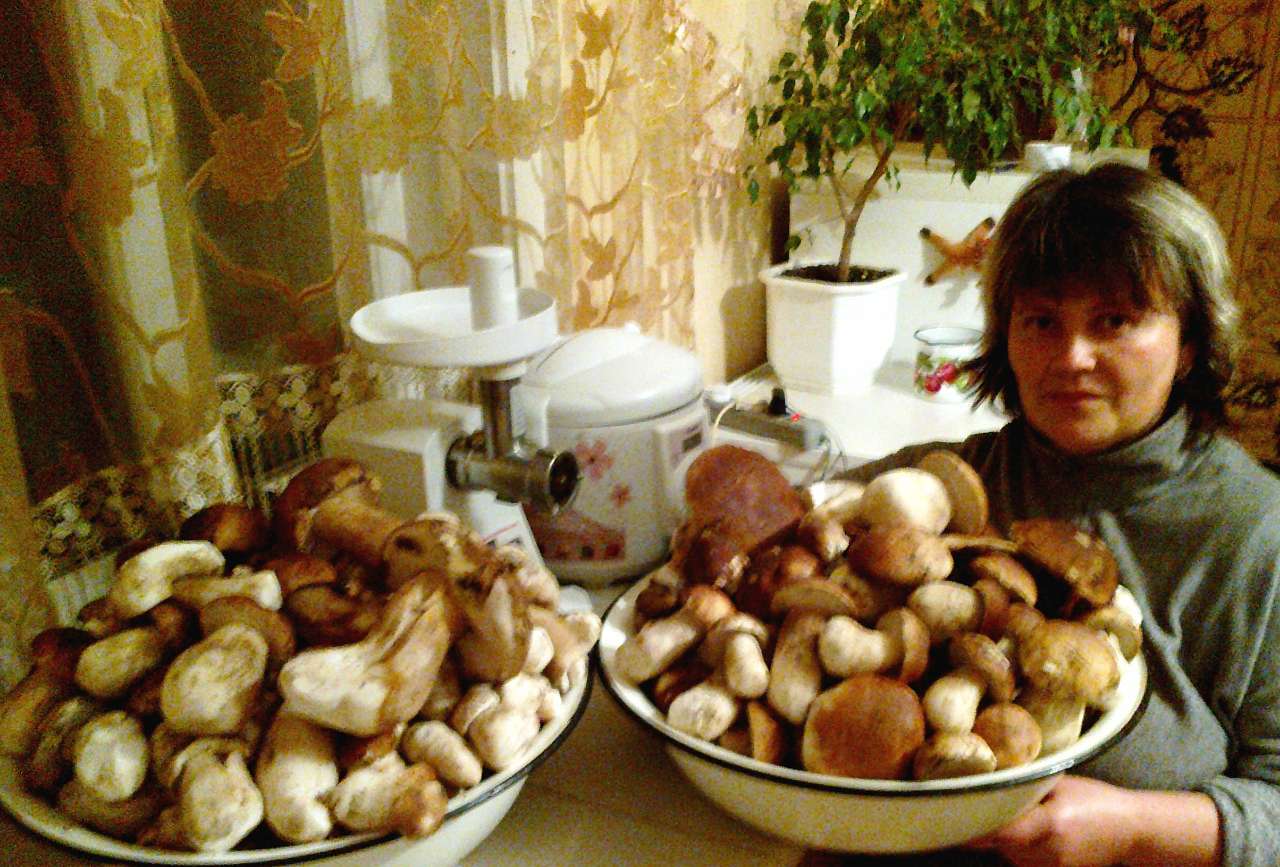 рідне село - Довгополе