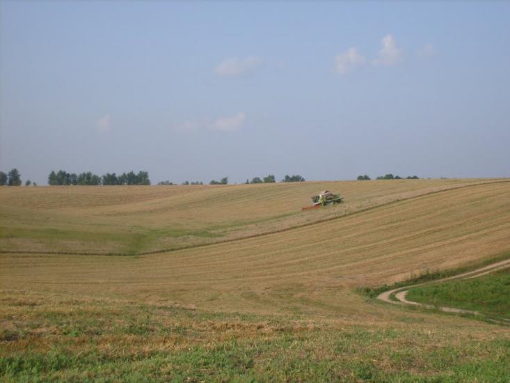 Сьомаки з panoramio.com - Семаки