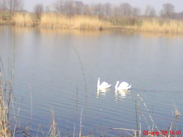 Глобине з panoramio.com - Глобино