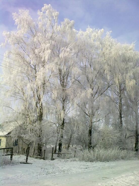 Яблуневе з panoramio.com - Яблуневе