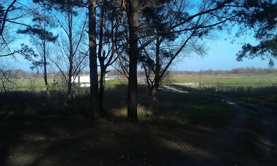 Гостролуччя з panoramio.com - Гостролуччя